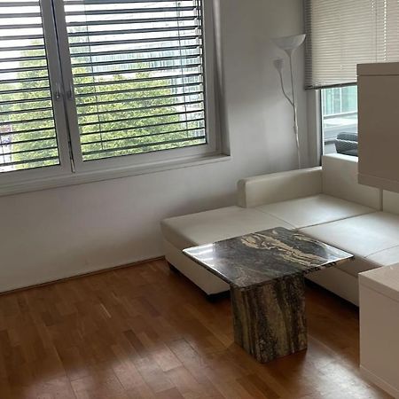 Linz Donau Ufer Stadt Mitte Екстериор снимка
